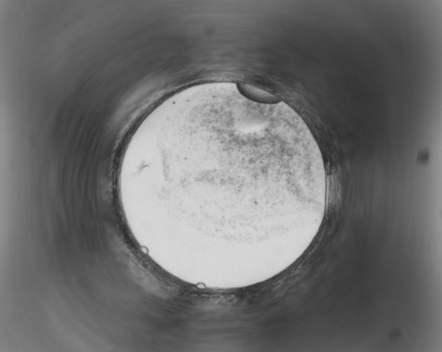 X0000116140243201001041038