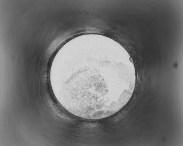 X0000116140247201001041038