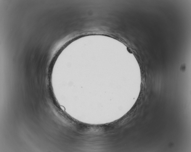 X0000116140248201001041038