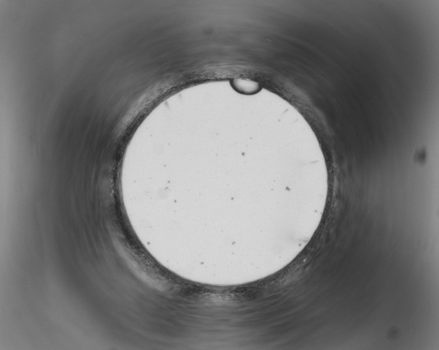 X0000116140250201001041038