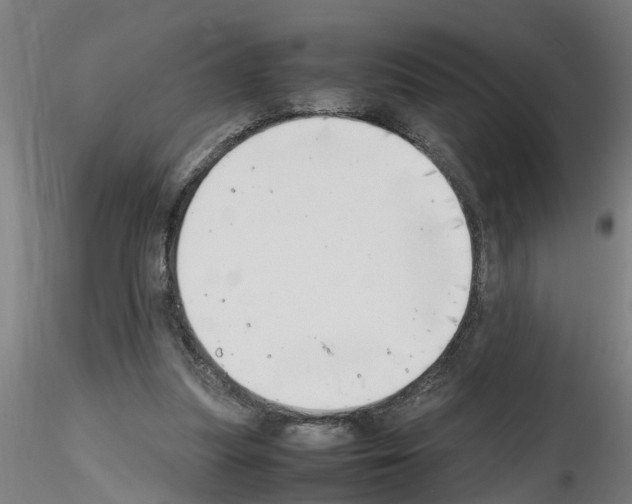 X0000116140251201001041038