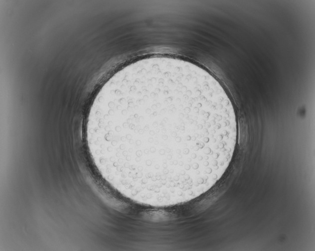 X0000116140253201001041038