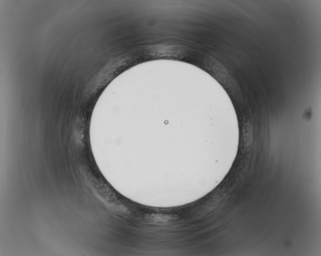 X0000116140255201001041038