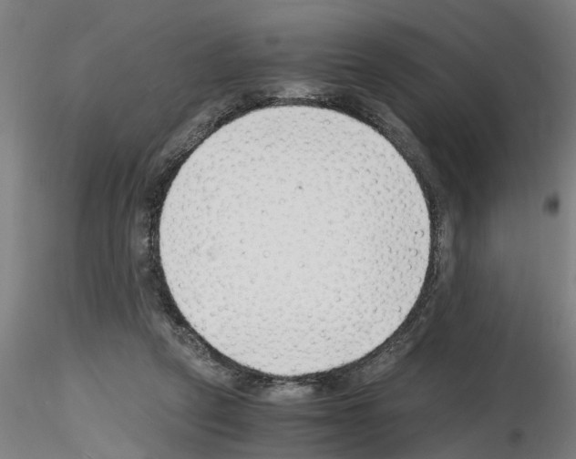 X0000116140257201001041038