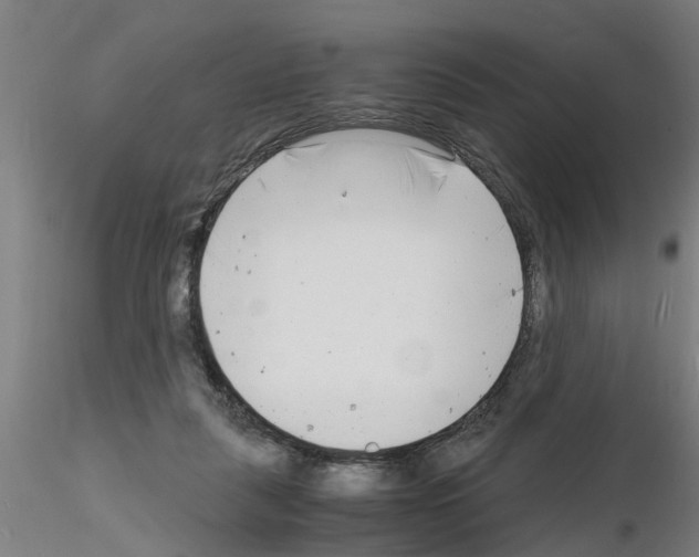 X0000116140259201001041038