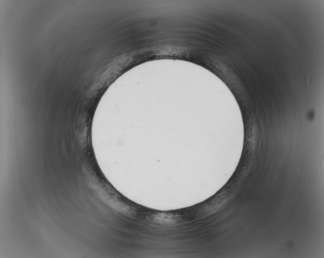 X0000116140261201001041038