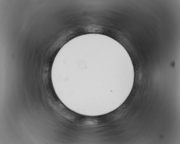 X0000116140263201001041038