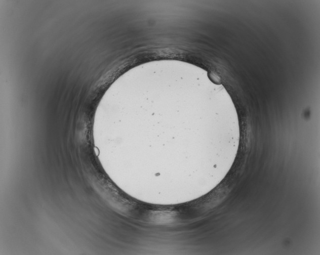 X0000116140266201001041038