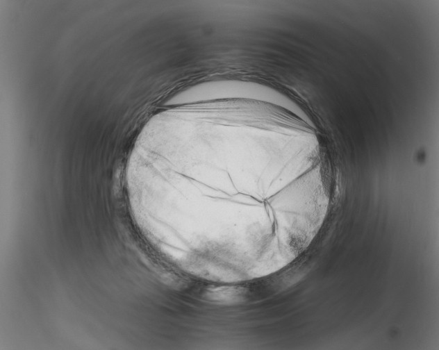 X0000116140269201001041038