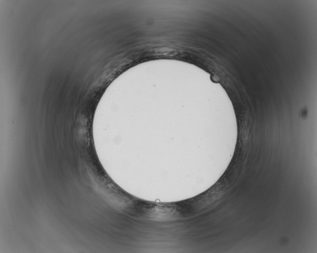 X0000116140270201001041038