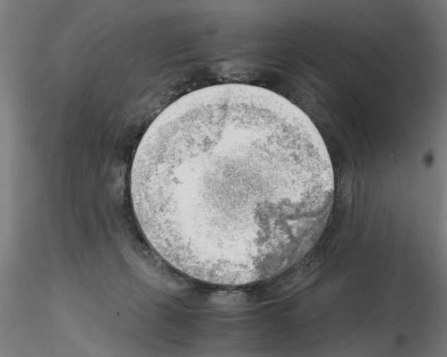 X0000116140271201001041038