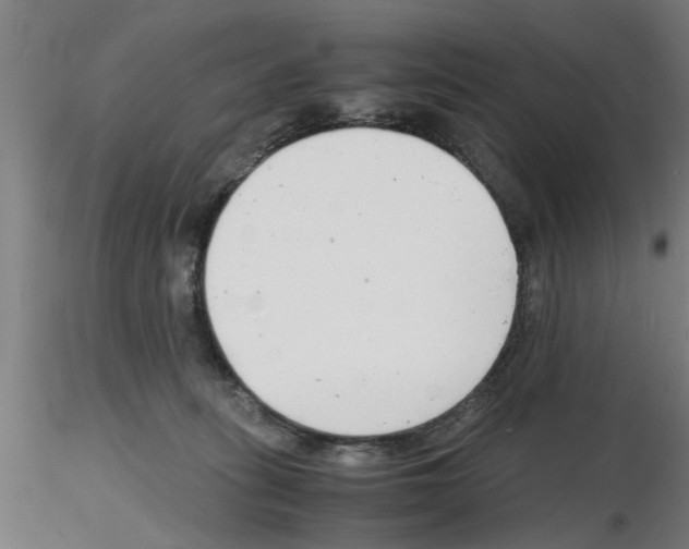 X0000116140275201001041039