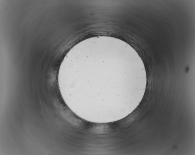 X0000116140278201001041039