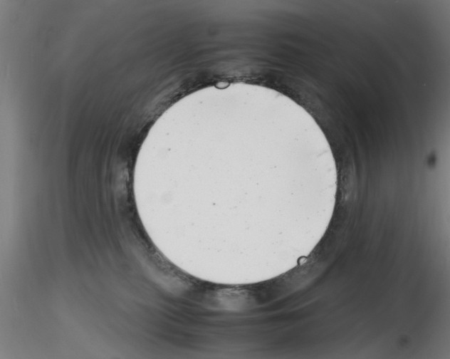 X0000116140279201001041039