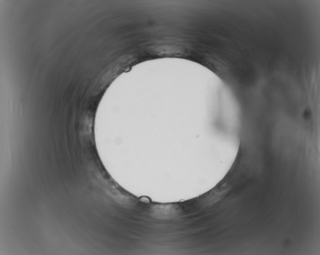 X0000116140281201001041039