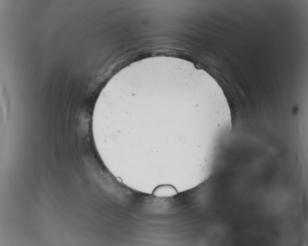 X0000116140282201001041039