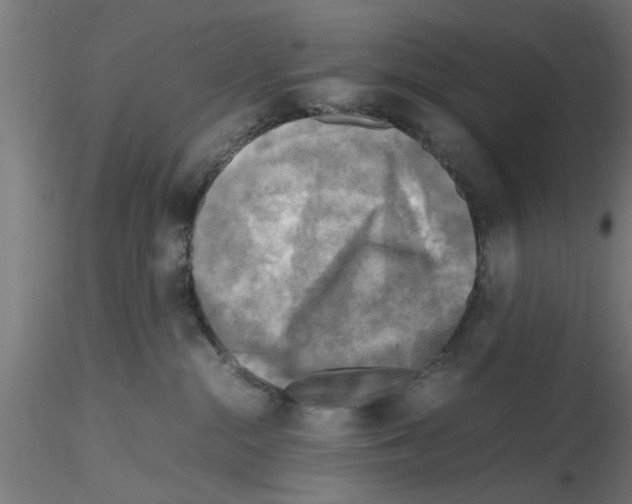 X0000116140284201001041039