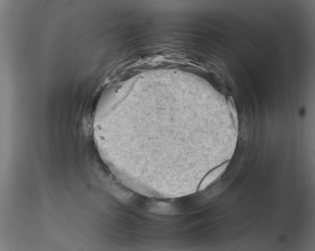 X0000116140285201001041039