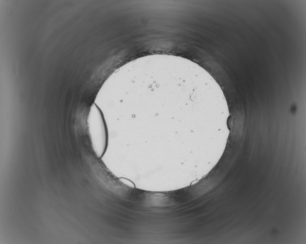 X0000116140287201001041039