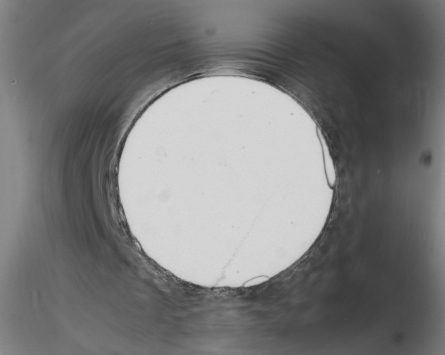 X0000116140289201001041038