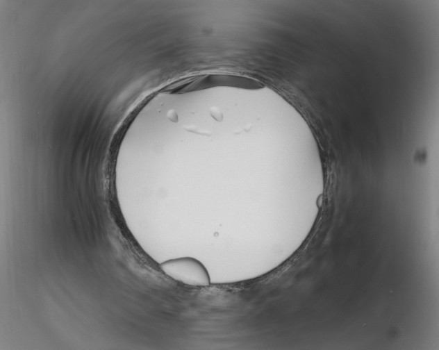 X0000116140290201001041038