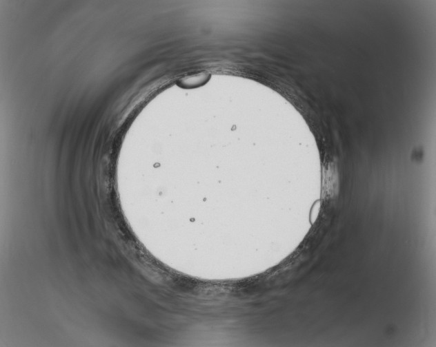 X0000116140291201001041038