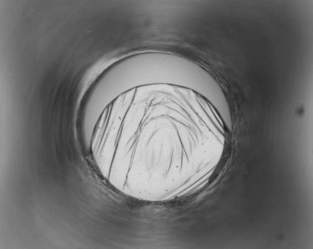 X0000116140294201001041038