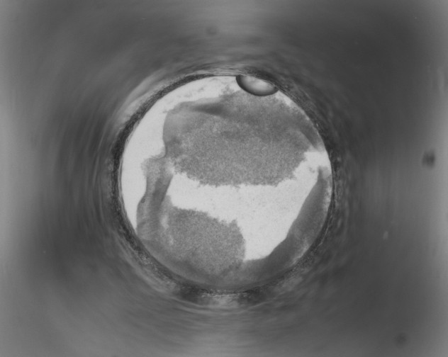 X0000116140295201001041038