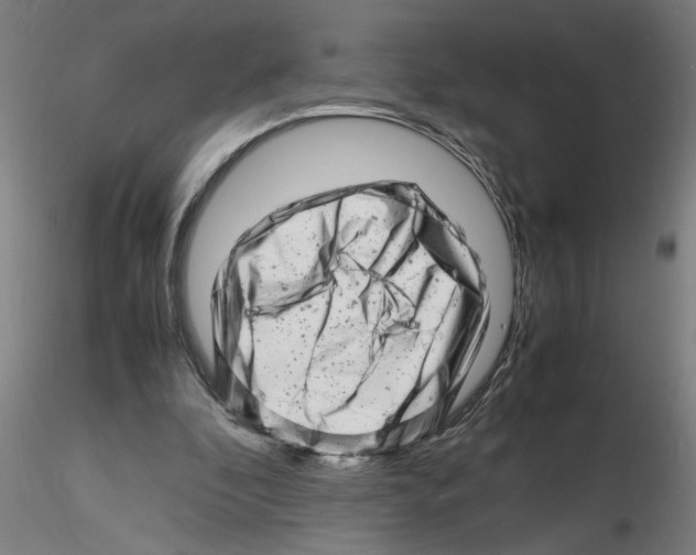 X0000116140296201001041038