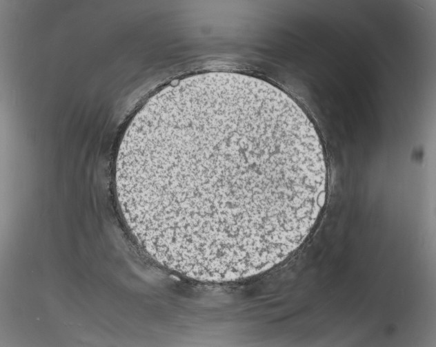 X0000116140297201001041038