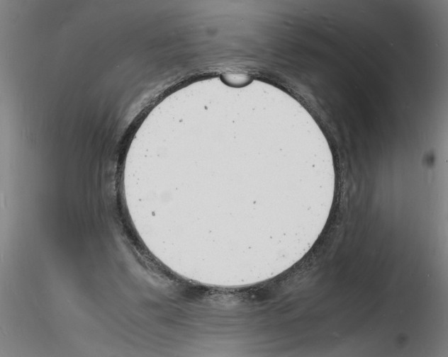 X0000116140299201001041038