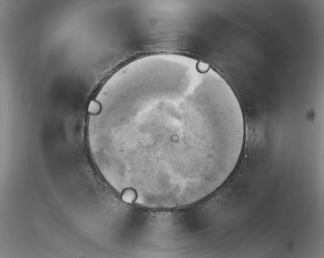 X0000116140301201001041038