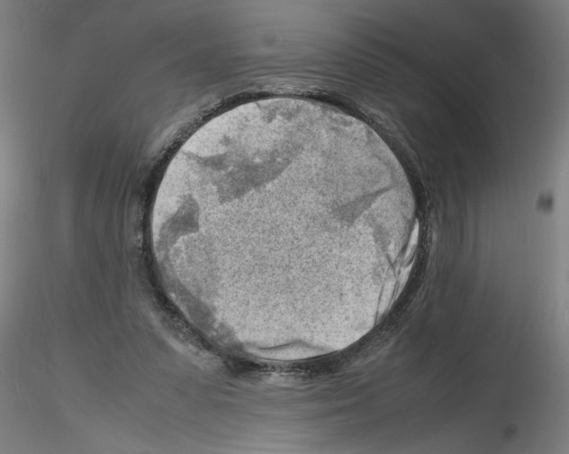 X0000116140303201001041038