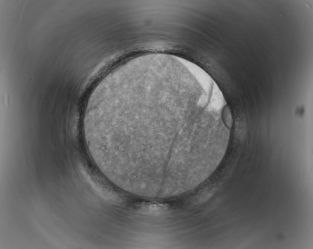 X0000116140304201001041038