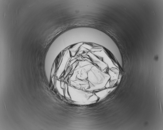 X0000116140309201001041038