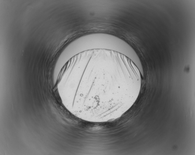 X0000116140312201001041038