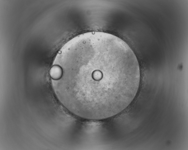 X0000116140313201001041038