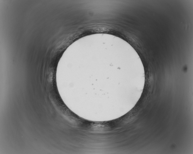 X0000116140315201001041038