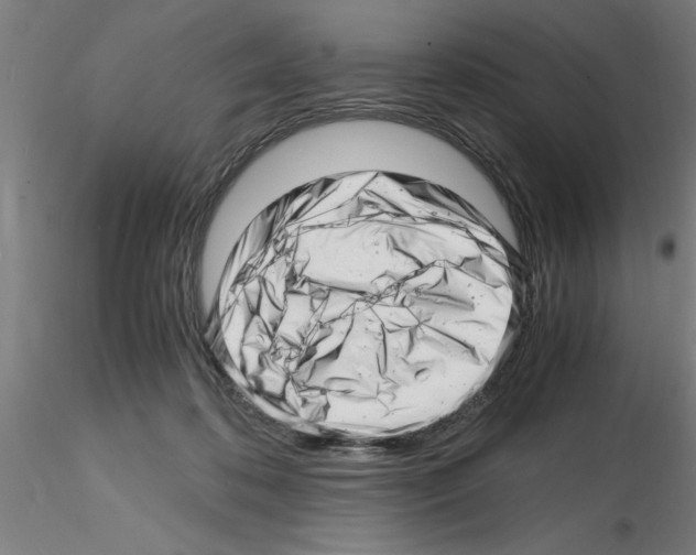 X0000116140316201001041038