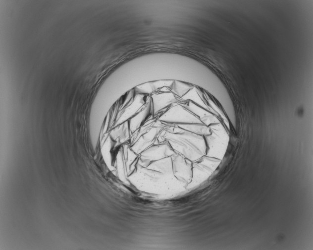 X0000116140317201001041038