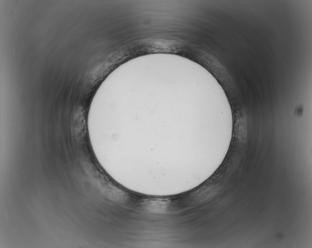 X0000116140318201001041038