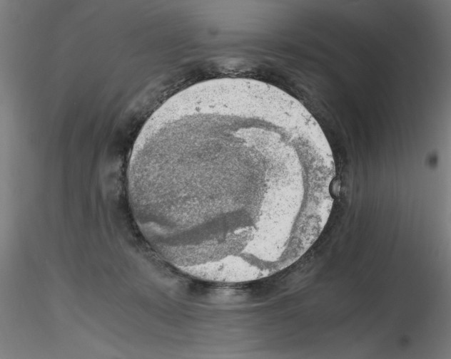 X0000116140319201001041038