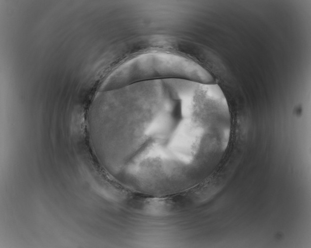 X0000116140320201001041038