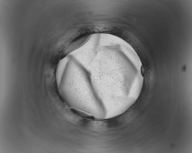 X0000116140327201001041038