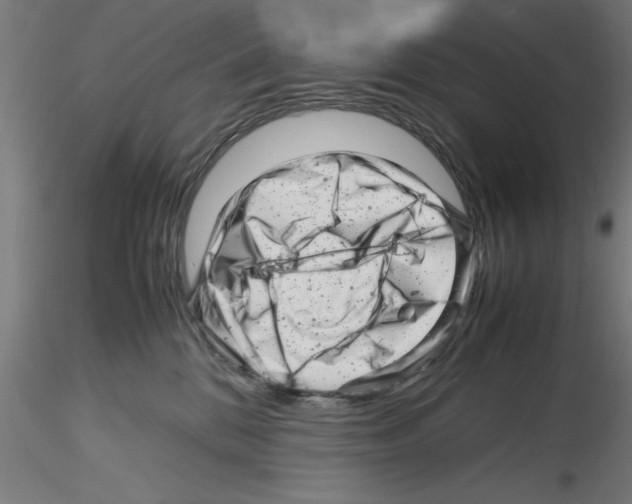 X0000116140328201001041038