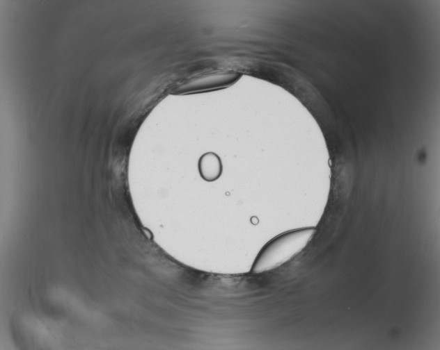 X0000116140329201001041038