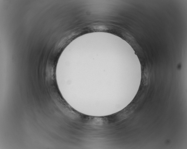 X0000116140330201001041038