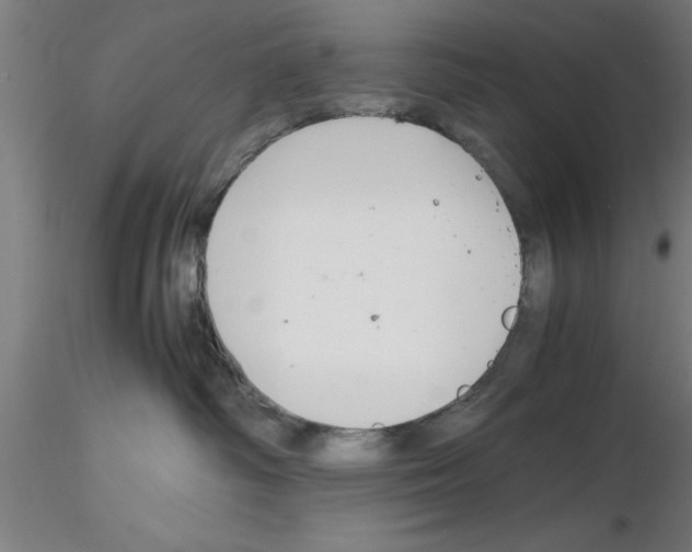 X0000116140334201001041037