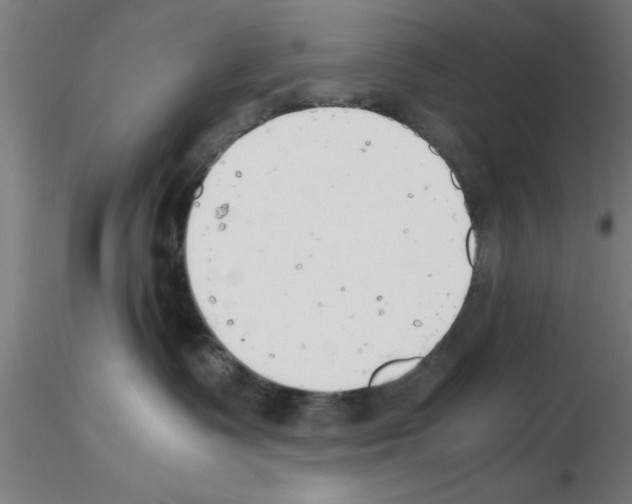 X0000116140335201001041037