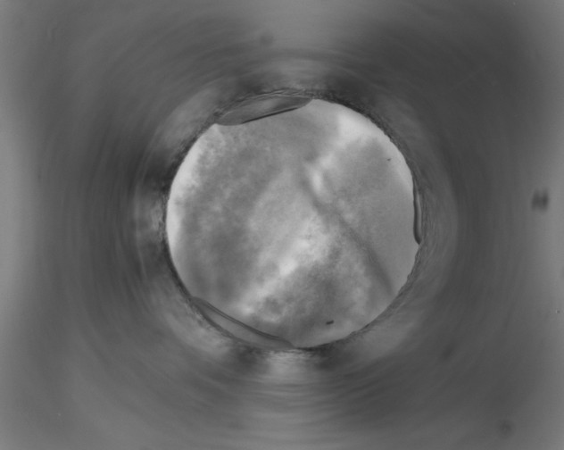 X0000116140336201001041037